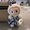 Photo of Eunji C.