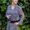 Photo of Joanne N.