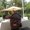 Photo of Kisha H.