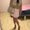 Photo of Lanea S.