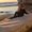 Photo of Amicie D.