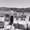 Photo of Laura A.