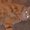 Photo of That's M.