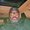 Photo of AmenRa B.