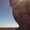 Photo of Vincent G.