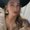 Photo of Brenda Noeli L.