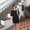Photo of Farnaz Z.