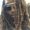 Photo of LaNeshia H.