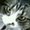 Photo of Phyl D.