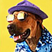 google avatar