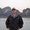 Photo of Rob F.
