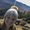Photo of Kristine B.