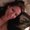 Photo of Dena C.