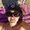 Photo of Kelly B.