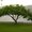Photo of Qype User (engl…)