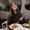 Photo of Chiara V.
