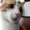Photo of Chata S.