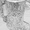 Photo of Kris S.