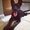 Photo of Sue T.