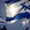 Photo of Israel P.