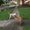 Photo of Phil F.