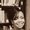 Photo of Tamara D.