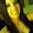 Photo of Candice B.