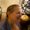 Photo of Amy P.
