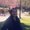Photo of Janette A.