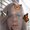 Photo of Ronda Ellingson S.