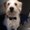 Photo of Dexter P.