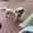 Photo of Pricilla M.