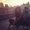 Photo of Alissa M.