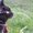 Photo of Darkat B.