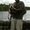 Photo of Nolan P.