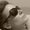 Photo of Liis M.