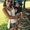 Photo of Tarah R.
