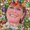 Photo of Jo Ann D.