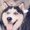 Photo of Kawaii K.
