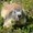 Photo of Qype User (fredou…)