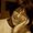 Photo of Cheryl J.