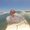 Photo of Marilia F.
