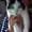Photo of Nilda C.