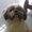 Photo of Qype User (HelloK…)
