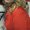 Photo of Linsay C.