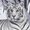 Photo of Tiger B.