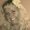 Photo of Tammi D.