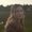 Photo of Amanda H.
