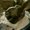 Photo of Janie S.
