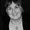 Photo of Susan H.